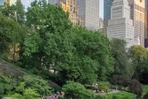 Central Park thumbnail